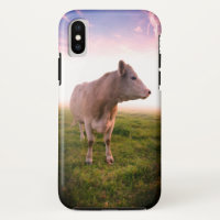 Sangria Sunset Country Cow in Pasture