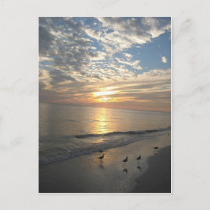 Sanibel Island, Florida Postcard