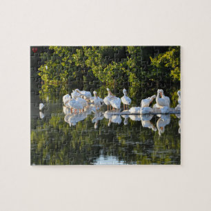 Sanibel Island Pelicans Florida Jigsaw Puzzle