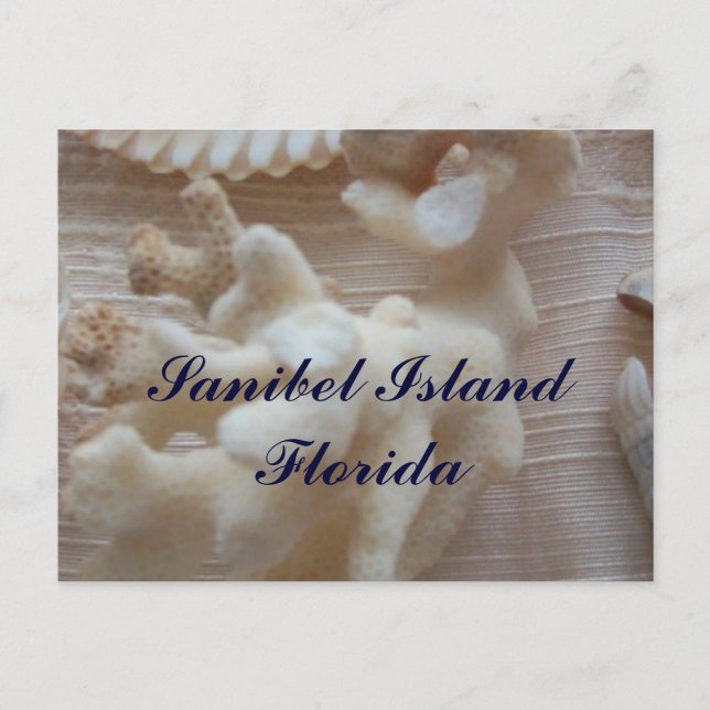 Sanibel Island Postcard (Front)