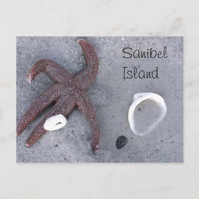 Sanibel Island Starfish and Shell Postcard (Front)