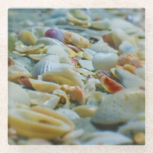 Sanibel Seashells Glass Coaster