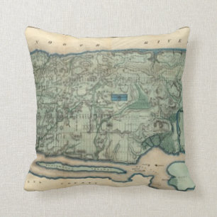 Sanitary and Topographical Map of New York City Cushion