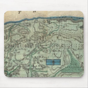 Sanitary and Topographical Map of New York City Mouse Pad