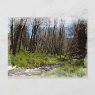 Santa Ana in Seven Oaks Holiday Postcard