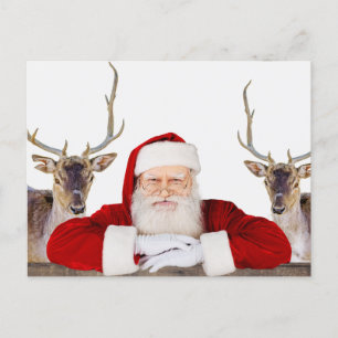 Santa and his reindeer -- Christmas Postcard 