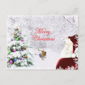 Santa and Reindeer Postcard