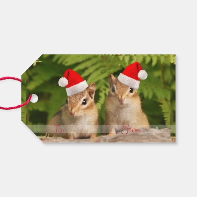 Santa Baby Chipmunks Gift Tags (Back Horizontal)