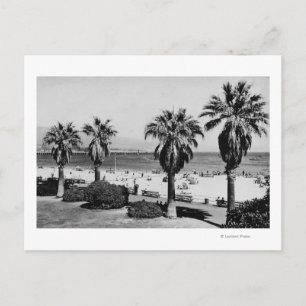 Santa Barbara, CA West Beach View Photograph Postcard