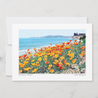 Santa Barbara Poppies Holiday Card