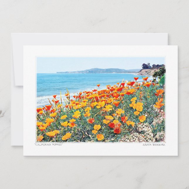 Santa Barbara Poppies Holiday Card (Front)