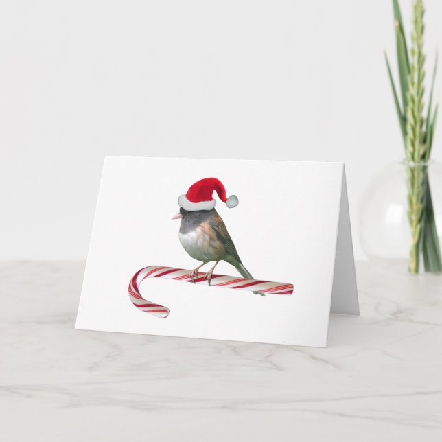 Santa Bird Christmas Card (Front)