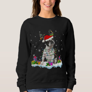 Santa Boston Terrier Christmas Lights Santa Reinde Sweatshirt