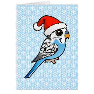 Santa Budgie Blue