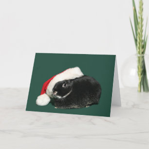 Santa bunny holiday card