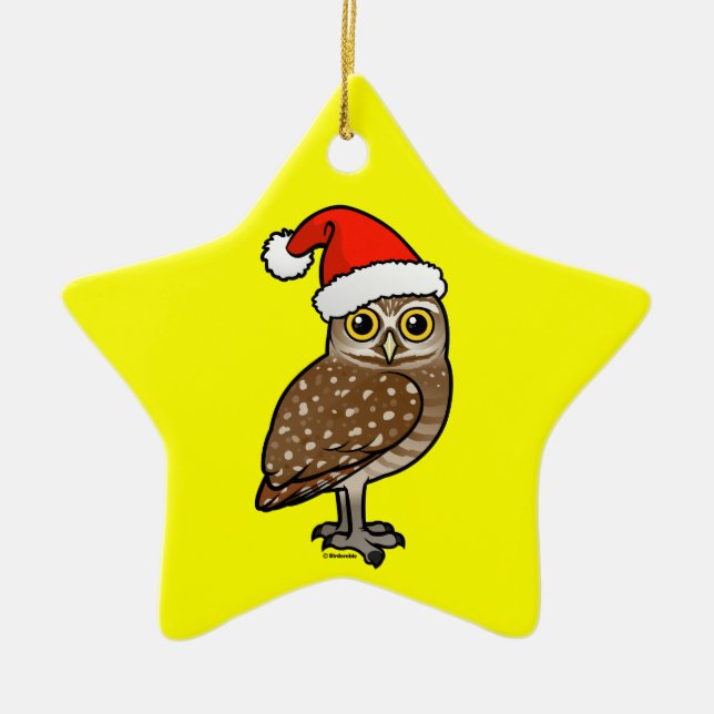 Santa Burrowing Owl Ceramic Tree Decoration (Front)