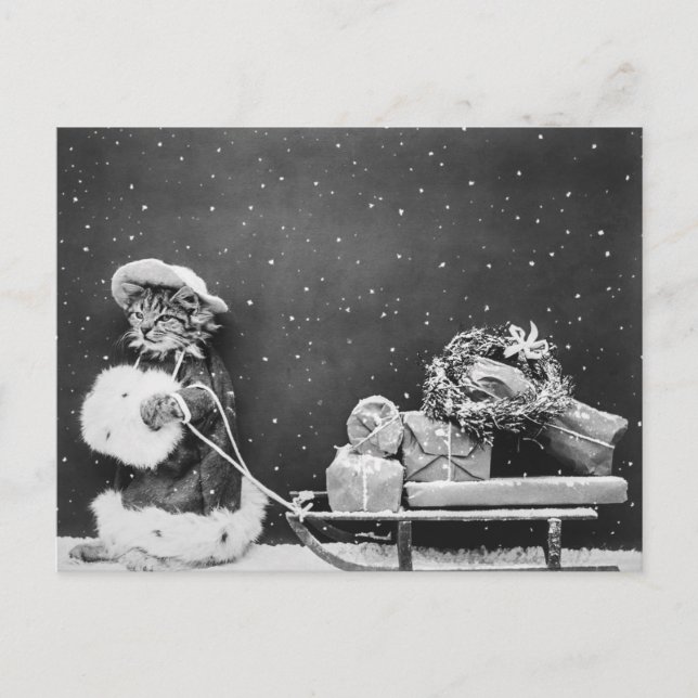 Santa Cat, a Santa Claus cat Postcard (Front)