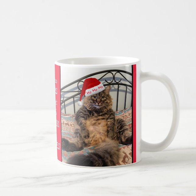 Santa Cat Gets Milk and Cookies Christmas Mug (Right)