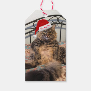 Santa Cat Ho Ho Ho Gift Tags