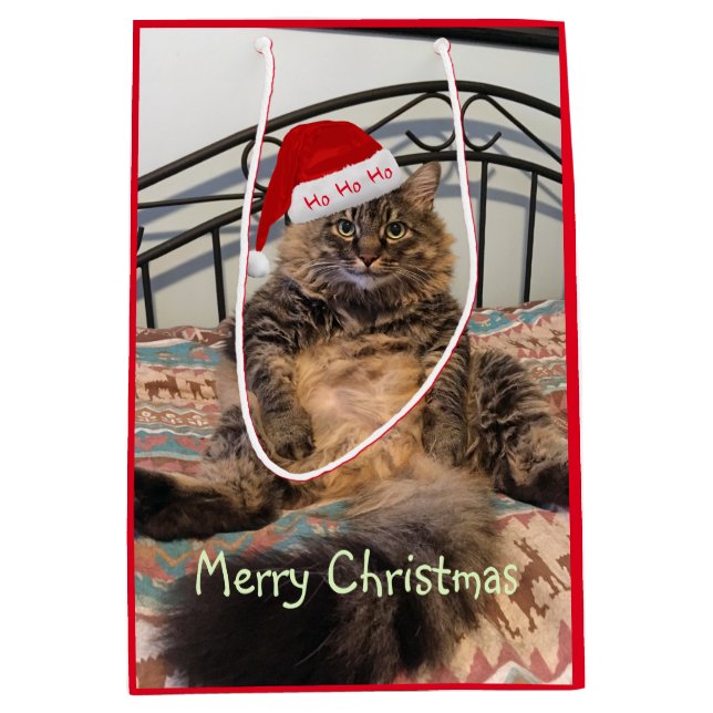 Santa Cat Ho Ho Ho Medium Gift Bag (Front)