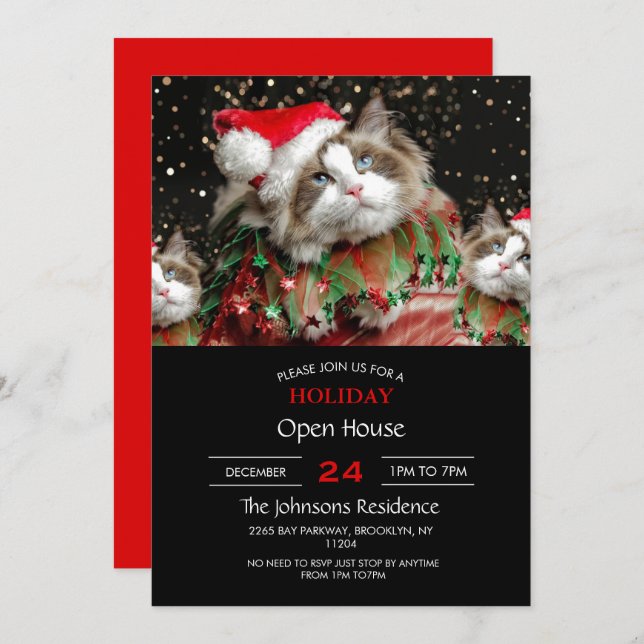 Santa Cat      Invitation (Front/Back)