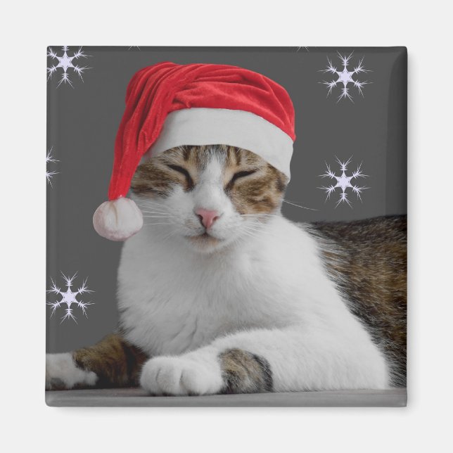 Santa Cat Magnet (Front)