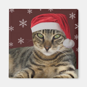 Santa Cat Magnet