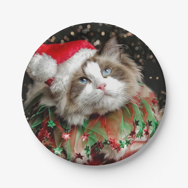 Santa Cat Paper Plate (Front)