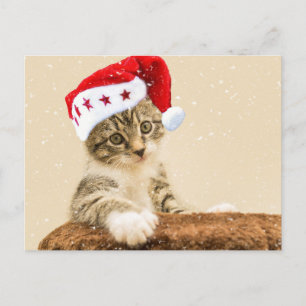 Santa Cat Postcard