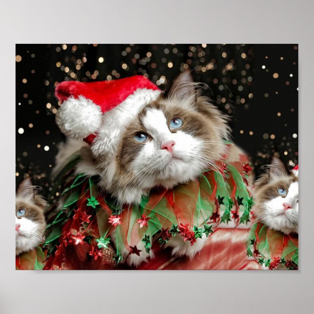 Santa Cat Poster (Front)