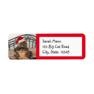 Santa Cat Return Address Labels