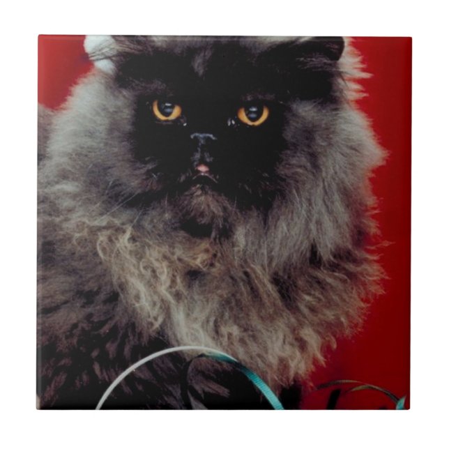 Santa Cat Tile (Front)