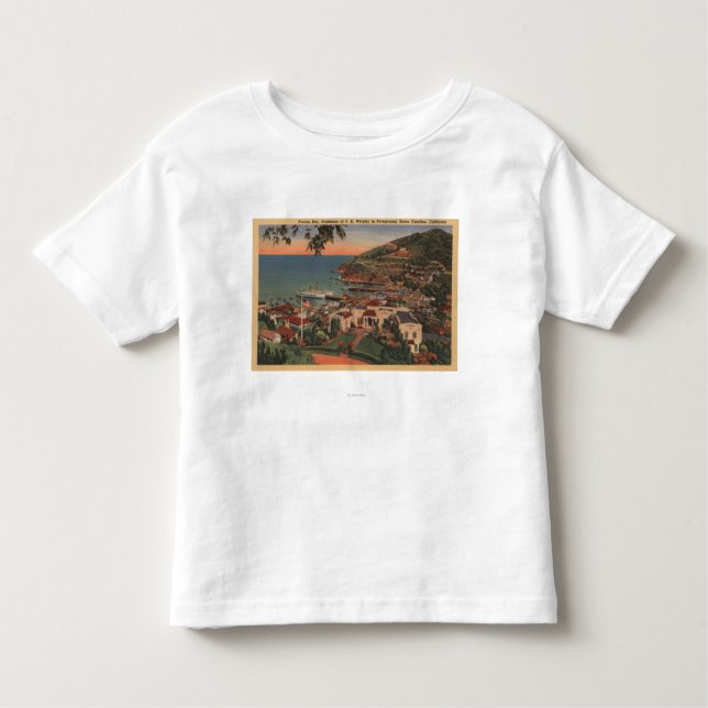 Santa Catalina, CA - Avalon Bay Toddler T-Shirt (Front)
