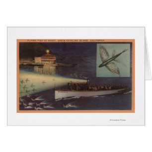 Santa Catalina Island, CA Casino, Flying Fish