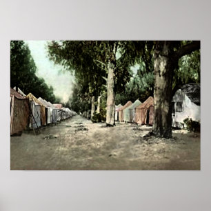 Santa Catalina Island, California Poster