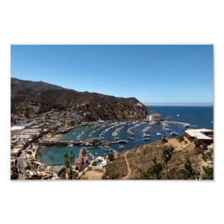 Santa Catalina Island Photo Print