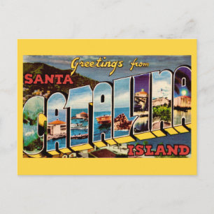 Santa Catalina Island Postcard