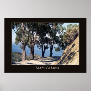 Santa Catalina Poster