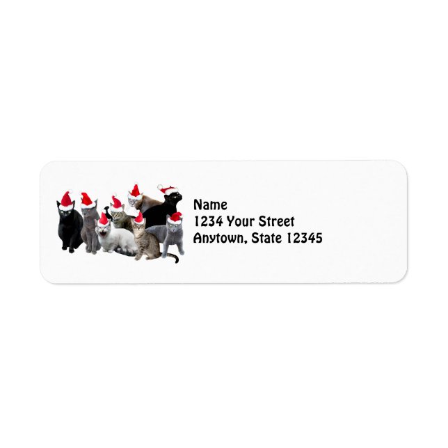 Santa Cats Return Address Labels (Front)