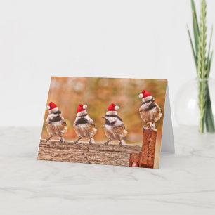 Santa Chickadees Holiday Card