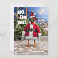 Santa Chicken