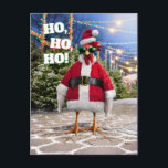 Santa Chicken Postcard<br><div class="desc">Holly Jolly! | Avanti,  the Global Humour Brand™ has been entertaining the world with its Feel Good Funny greeting cards for over 40 years. Our characters live life to the fullest and celebrate the humour in everyday life.</div>