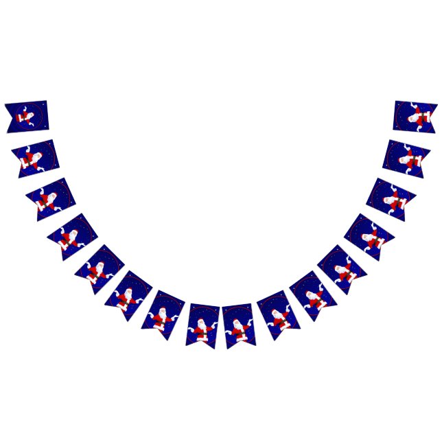 Santa Claus Bunting (All)