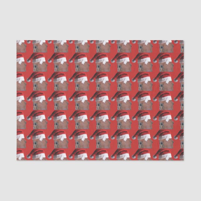 Santa Claus Christmas Horse Tissue Paper (Front)