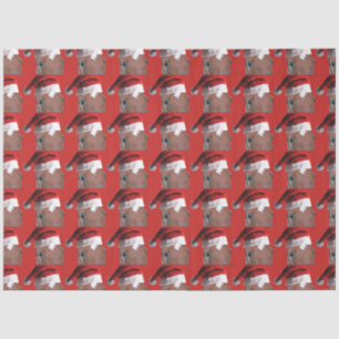 Santa Claus Christmas Horse Tissue Paper