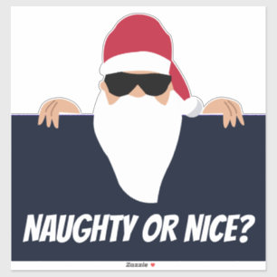 SANTA CLAUS CHRISTMAS NAUGHTY CAR DECAL STICKER