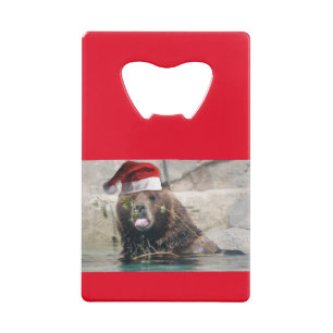 Santa Claus Grizzly Bear