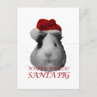 Santa Claus Pig Guinea Pig Christmas Holidays