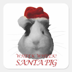 Santa Claus Pig Guinea Pig Christmas Holidays Square Sticker