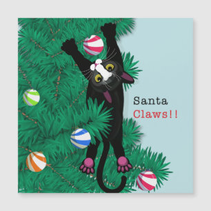Santa Claws! Cat Christmas card funny